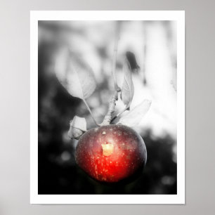 "Temptation" Apple Fotografie Print Poster