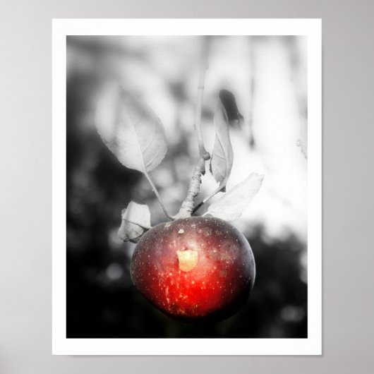 "Temptation" Apple Fotografie Print Poster (Vorne)