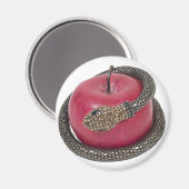 TemptationAppleSchlange112311 Magnet (Vorderseite/Rückseite)