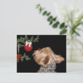 Tempted Yorkie Christmas Feiertagspostkarte (Stehend Vorderseite)