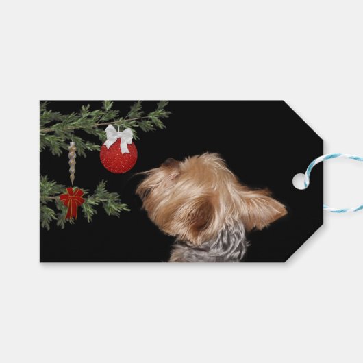 Tempted Yorkie Christmas Geschenkanhänger (Vorderseite (Horizontal))