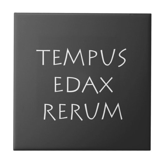 Tempus edax rerum fliese (Vorderseite)