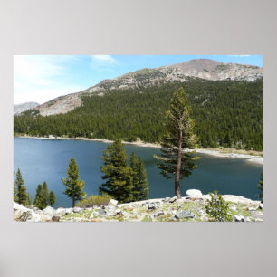 Tenaya Lake im Yosemite National Park Poster