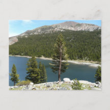 Tenaya Lake im Yosemite National Park