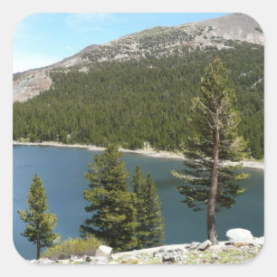 Tenaya Lake im Yosemite-Nationalpark Quadratischer Aufkleber