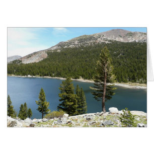 Tenaya Lake on Yosemite National Park