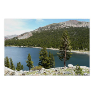 Tenaya Lake on Yosemite National Park Poster