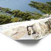 Tenaya Lake on Yosemite National Park Poster (Ecke)