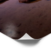 Tenaya Lake Poster (Ecke)