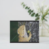 Tenchi-Postkarte Postkarte (Stehend Vorderseite)