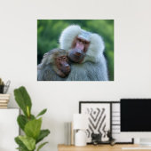 Tender Baboon Bond Poster (Heimbüro)