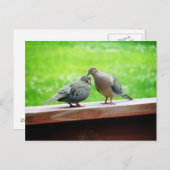 Tender Lovebirds Kiss Postkarte (Vorne/Hinten)