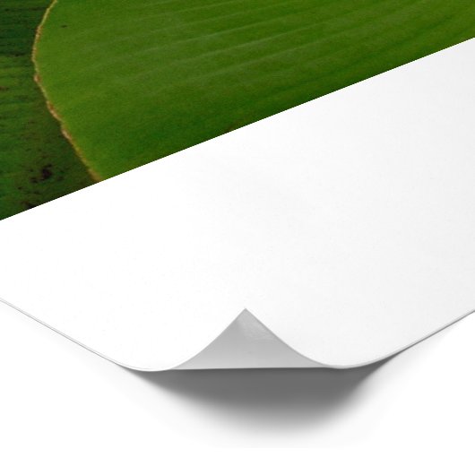 Tender Shoots Poster (Ecke)