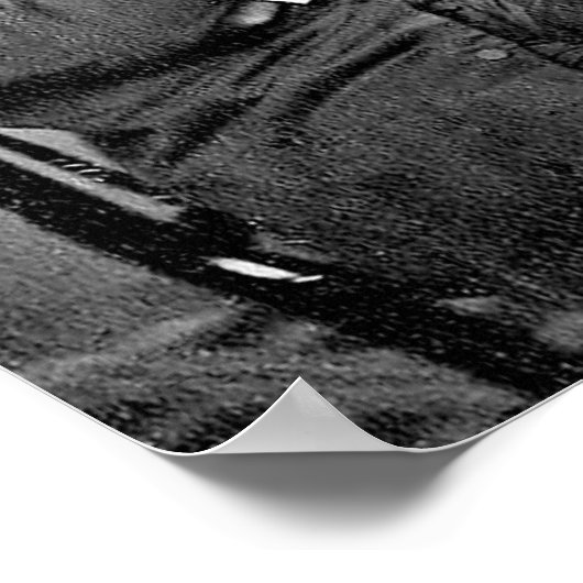 Tenderest Lover Whitman Zitat Poster (Ecke)