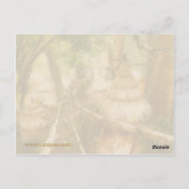 Tendrel Village Postkarte (Rückseite)