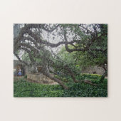 Tendril-Baum im Alamo, San Antonio, Texas Puzzle (Horizontal)