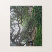 Tendril-Baum im Alamo, San Antonio, Texas Puzzle (Vertikal)
