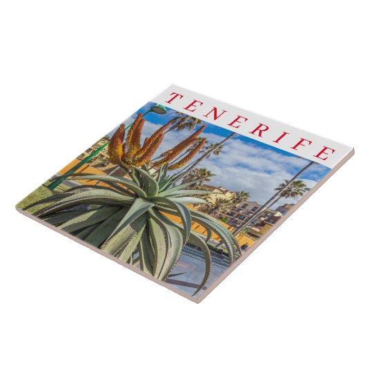 Tenerife Aloe Vera Pflanze Keramik Fliese (Seite)
