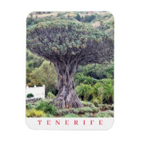 Tenerife Dragon Tree View Kühlschrankmagnet