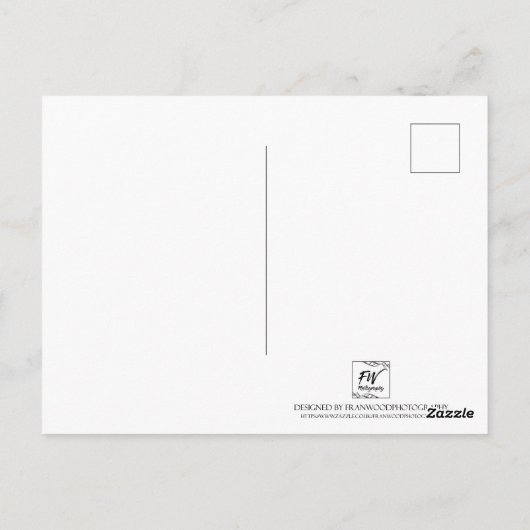 Tenerife Postkarte (Rückseite)