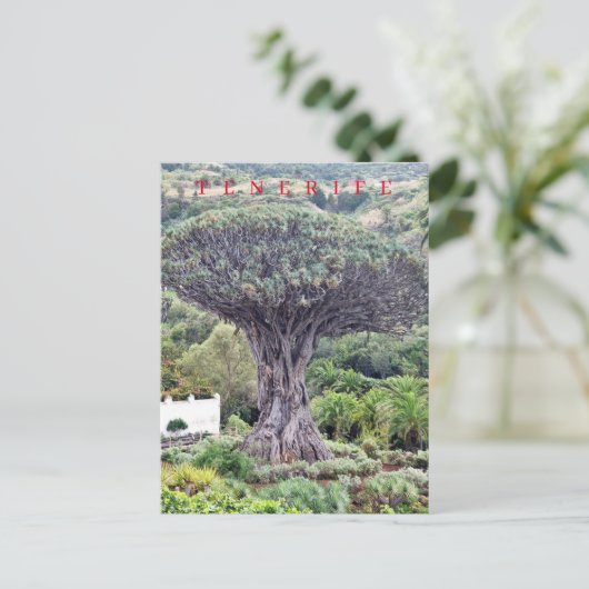 Teneriffa-Drachenbaum-Ansicht Postkarte (Stehend Vorderseite)
