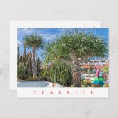 Teneriffa Einmaliger Blick auf die Bäume Postkarte (Vorne/Hinten)