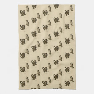 Tengmalms (boreal) Owl Audubons Vögel von Amerika Geschirrtuch