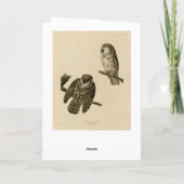 Tengmalms (boreal) Owl Audubons Vögel von Amerika Karte (Rückseite)