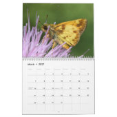 Tennessee Butterflies Kalender (Mär 2027)