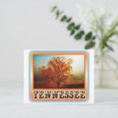 Tennessee-Fall-Baum-Szene Postkarte (Stehend Vorderseite)