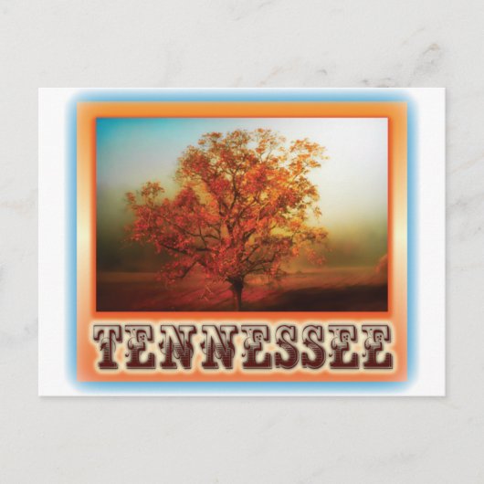 Tennessee-Fall-Baum-Szene Postkarte (Vorderseite)