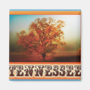 Tennessee Fall Tree Szene Magnet