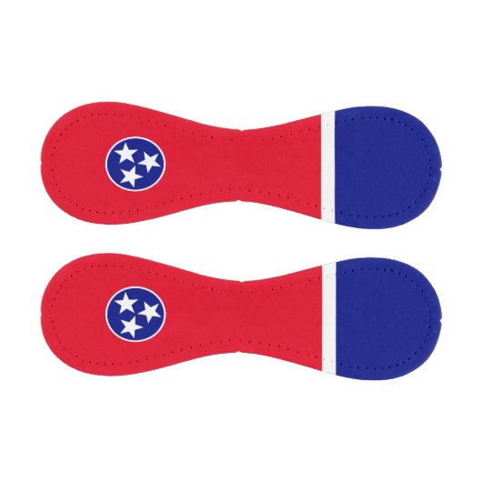 Tennessee-Flagge Baseball (Paneele)