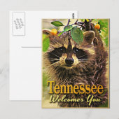 Tennessee heißt Sie Raccoon willkommen Postkarte (Vorne/Hinten)