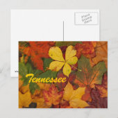 Tennessee Herbstleaale Postkarte (Vorne/Hinten)