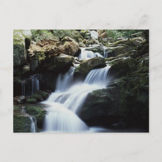 Tennessee, Nationalpark der Großen Smoky-Berge 3 Postkarte (Vorderseite)