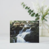 Tennessee, Nationalpark der Großen Smoky-Berge 3 Postkarte (Stehend Vorderseite)