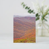 TENNESSEE POSTKARTE (Stehend Vorderseite)