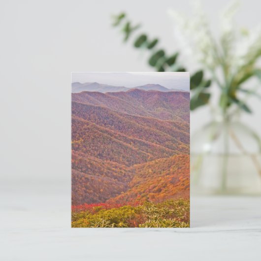 TENNESSEE POSTKARTE (Stehend Vorderseite)