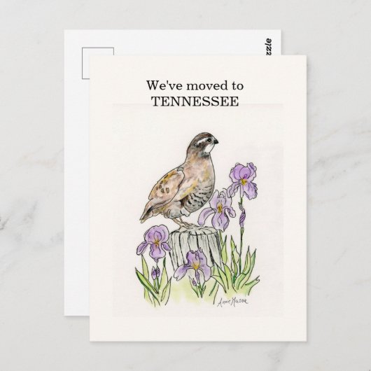 Tennessee Postkarte (Vorne/Hinten)