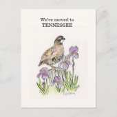 Tennessee Postkarte (Vorderseite)