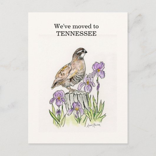 Tennessee Postkarte (Vorderseite)