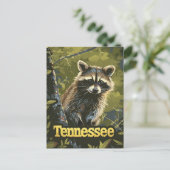 Tennessee Raccoon Postkarte (Stehend Vorderseite)
