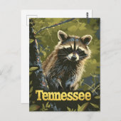 Tennessee Raccoon Postkarte (Vorne/Hinten)