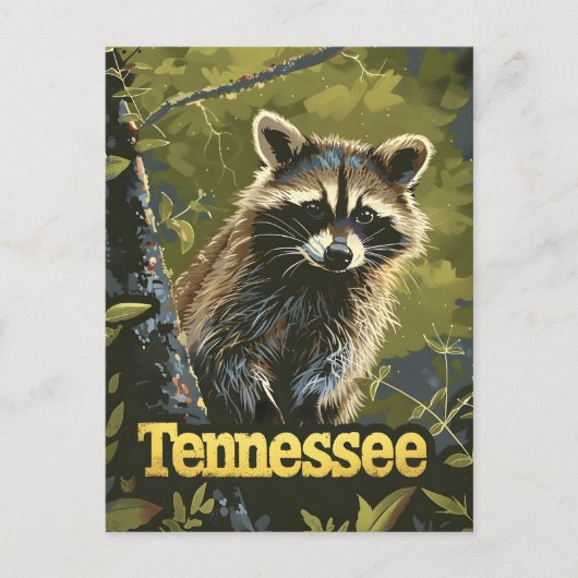 Tennessee Raccoon Postkarte (Vorderseite)