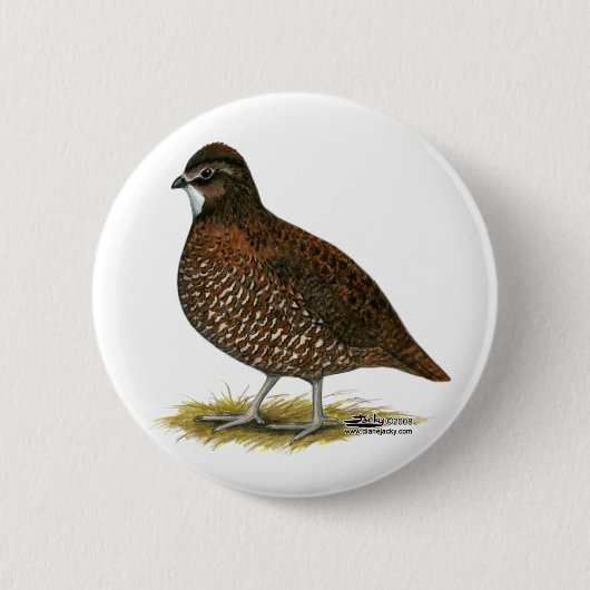 Tennessee Red Quail Button (Vorderseite)