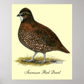 Tennessee Red Quail Poster (Vorne)