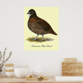 Tennessee Red Quail Poster (Küche)