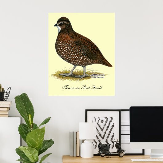 Tennessee Red Quail Poster (Heimbüro)