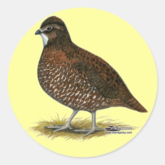 Tennessee Red Quail Runder Aufkleber (Vorderseite)